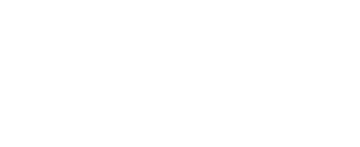 4net IT Support